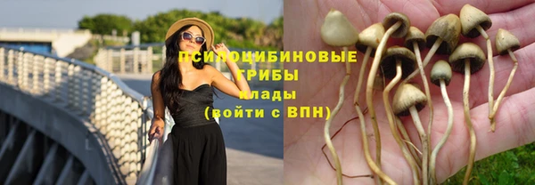 ГАЛЛЮЦИНОГЕННЫЕ ГРИБЫ Лихославль