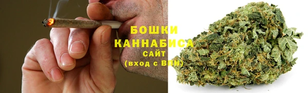 ГАЛЛЮЦИНОГЕННЫЕ ГРИБЫ Лихославль