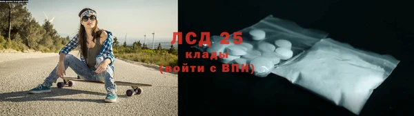 ГАЛЛЮЦИНОГЕННЫЕ ГРИБЫ Лихославль