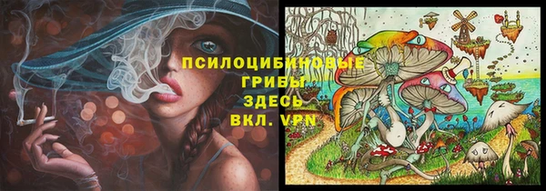 индика Лиски