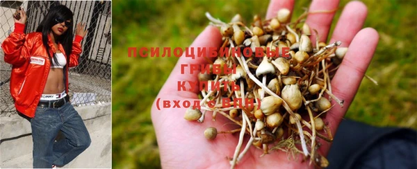индика Лиски