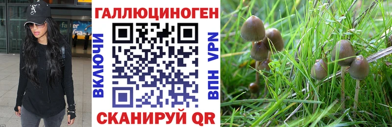 Псилоцибиновые грибы мухоморы цены Заринск