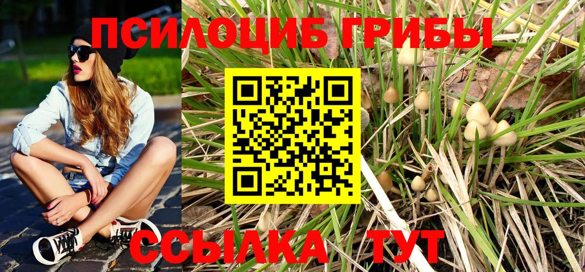 Псилоцибиновые грибы Cubensis Заринск
