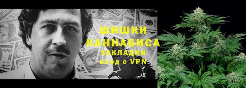 где купить наркоту  Заринск  kraken зеркало  МАРИХУАНА LSD WEED 